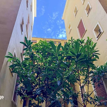 Apartment Beachfront - Sea View - Cou02